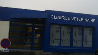 Fourmies Une Clinique Veterinaire A Demenage Dans Le Quartier De La Marliere La Voix Du Nord