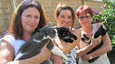 Chats Errants Au Cimetiere De Lille Sud La Bataille De Sylvie Aurelie Et Florence La Voix Du Nord Chats Errants Au Cimetiere De Lille Sud La Bataille De Sylvie Aurelie Et Florence La Voix Du Nord