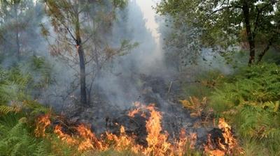 Incendie En Gironde Feu Toujours Pas Fixe Mais Situation Meteo Amelioree La Voix Du Nord