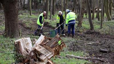 Calais Inquietudes Autour Du Defrichage Du Bois Dubrulle La Voix Du Nord