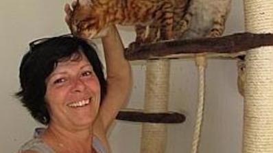 Les Chats Croises Avec Des Leopards D Asie Qu Eleve Francoise Un Cadeau De La Vie La Voix Du Nord Les Chats Croises Avec Des Leopards D Asie Qu Eleve Francoise Un Cadeau De La Vie La Voix Du Nord