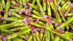 Avoir Images Carambar La Fin Des Blagues Finalement C Etait Une Blague dernière salutations